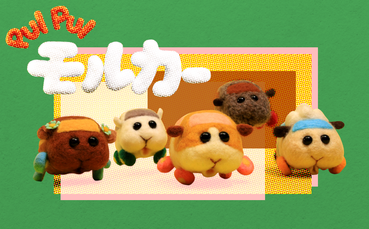 花车心态 低幼动画 天竺鼠车车 到底为什么这么火 歪脑whynot