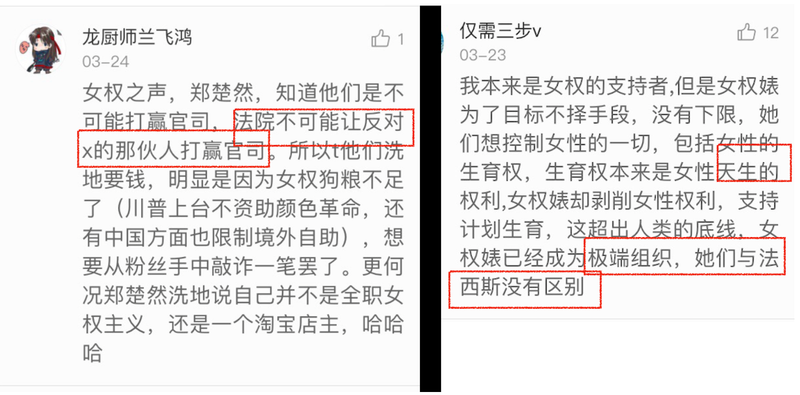 Screenshots of online comments attacking Feminist Voices and Zheng Churan.